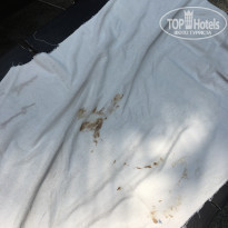 фото из отзыва ID 2063272