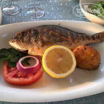 фото из отзыва ID 2063329