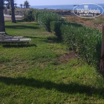 фото из отзыва ID 2063350