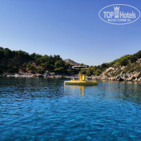 фото из отзыва ID 2063395