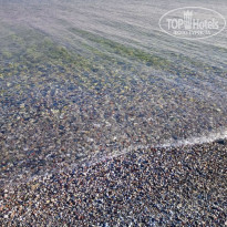 фото из отзыва ID 2063395