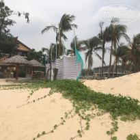 фото из отзыва ID 2063521