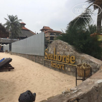 фото из отзыва ID 2063521