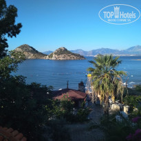 фото из отзыва ID 2063478