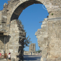 фото из отзыва ID 2063495