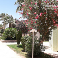 фото из отзыва ID 2063681