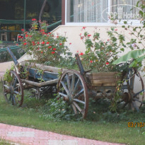 фото из отзыва ID 2063791