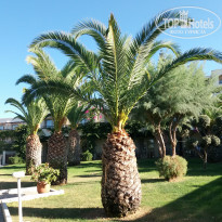 фото из отзыва ID 2063816