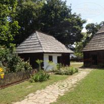 фото из отзыва ID 2063861