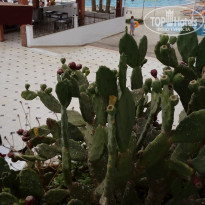 фото из отзыва ID 2063897