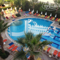 фото из отзыва ID 2063900