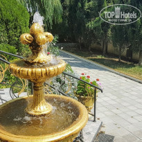 фото из отзыва ID 2063907