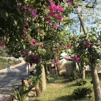 фото из отзыва ID 2062938