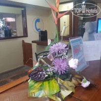 фото из отзыва ID 2064060