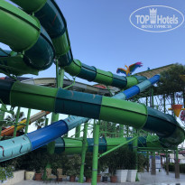 фото из отзыва ID 2064109