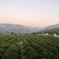 фото из отзыва ID 2064168