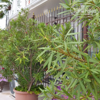 фото из отзыва ID 2064225