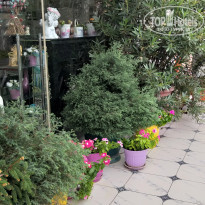 фото из отзыва ID 2064225