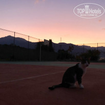 фото из отзыва ID 2064228