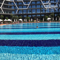 фото из отзыва ID 2064211