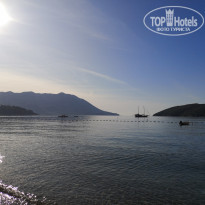 фото из отзыва ID 2064295