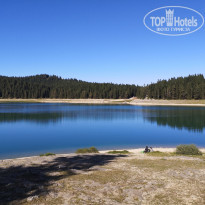 фото из отзыва ID 2064295