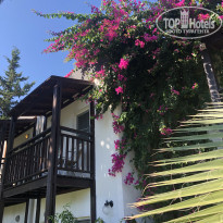 фото из отзыва ID 2064325