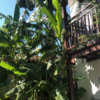 фото из отзыва ID 2064325