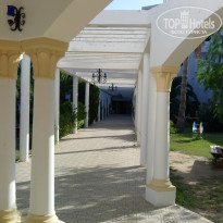 фото из отзыва ID 2064293