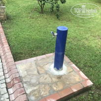 фото из отзыва ID 2064411