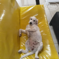 фото из отзыва ID 2064474