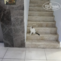 фото из отзыва ID 2064474