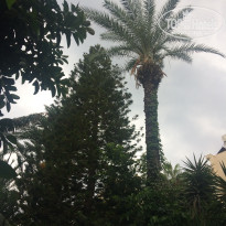 фото из отзыва ID 2064568