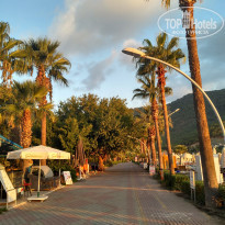 фото из отзыва ID 2064552