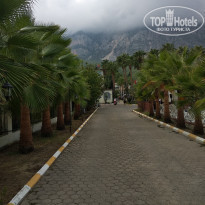 фото из отзыва ID 2064659