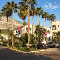 фото из отзыва ID 2064659