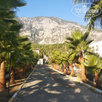 фото из отзыва ID 2064659