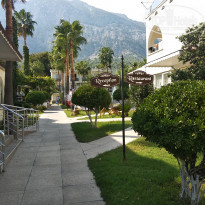 фото из отзыва ID 2064659