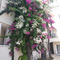 фото из отзыва ID 2064659