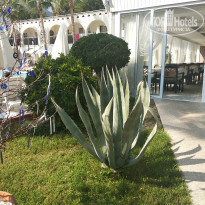 фото из отзыва ID 2064659