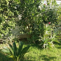 фото из отзыва ID 2064659