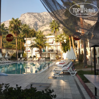 фото из отзыва ID 2064659