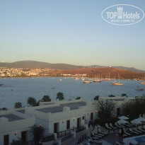 фото из отзыва ID 2064696