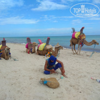 фото из отзыва ID 2064750