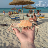 фото из отзыва ID 2064750