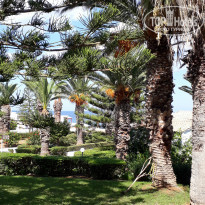 фото из отзыва ID 2064770