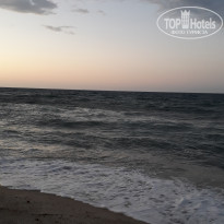 фото из отзыва ID 2064770