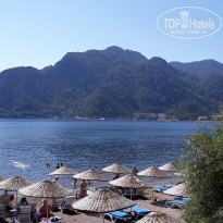 фото из отзыва ID 2064754