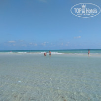 фото из отзыва ID 2064750