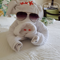 фото из отзыва ID 2064826